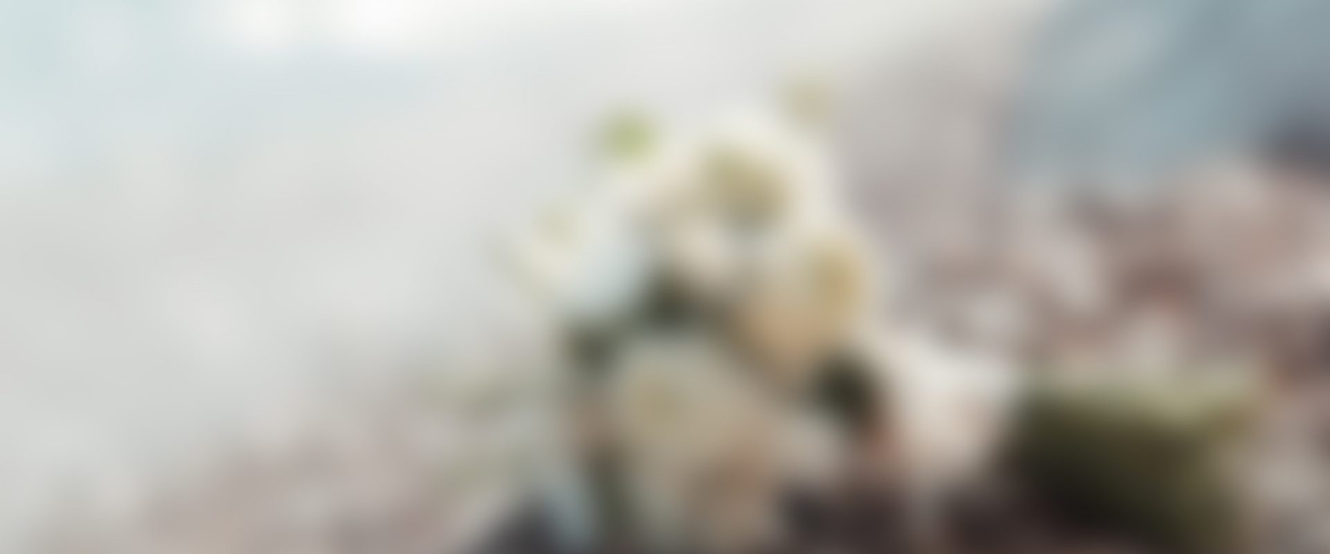 blog04-830x400